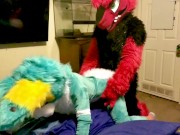 Spike bareback Breeds Piper the Bun doggy style @SucarioAD 11/16