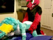 Spike bareback Breeds Piper the Bun doggy style @SucarioAD 12/16