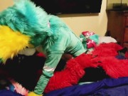 Spike bareback Breeds Piper the Bun doggy style @SucarioAD 2/16