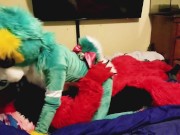 Spike bareback Breeds Piper the Bun doggy style @SucarioAD 5/16