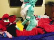 Spike bareback Breeds Piper the Bun doggy style @SucarioAD 6/16