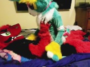 Spike bareback Breeds Piper the Bun doggy style @SucarioAD 7/16