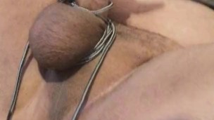 Sexy cock and ass hole.