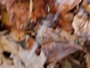 Quickie POV Piss In Public