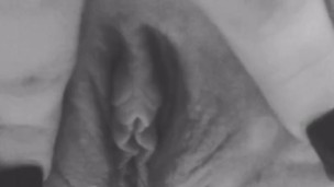 Pretty pussy