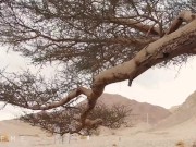 PUBLIC TEEN SEX IN THE DESERT - ISEEME 4K 60FPS 12/16