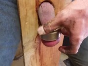 balls in a whole 12/16