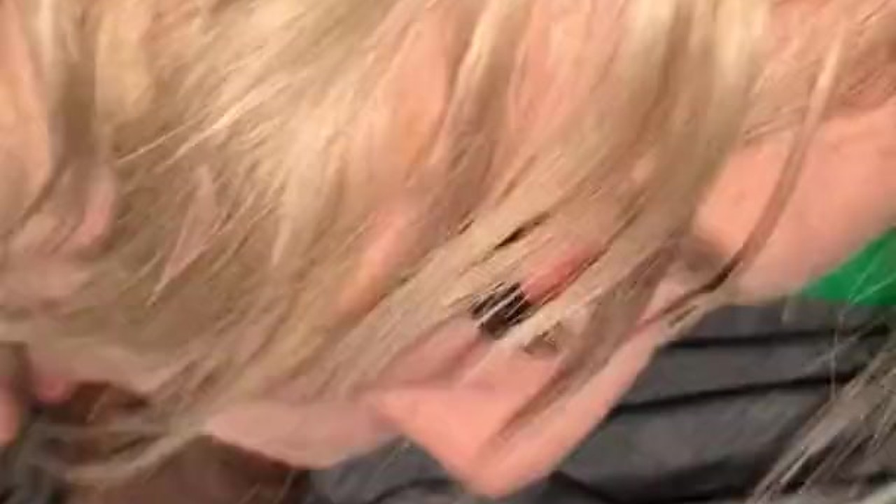 Sucking My Dick in PUBLIC while going through the Drive Thru!? - Free Sex Video - RedTube