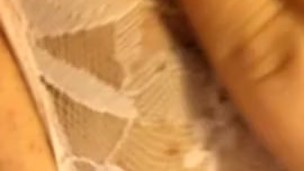 Pussy in Lace