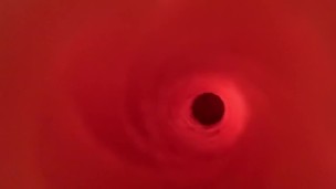 Internal view of Fleshlight Vortex 