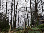 Forest Piss Caught On Camera 3/16