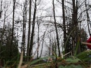 Forest Piss Caught On Camera 4/16
