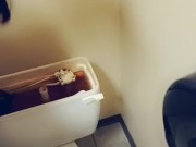 Snapchat Premium Available! Pissing In A Toilet Tank 5/16