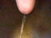 Toilet camera