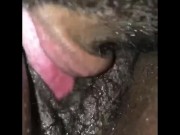 Throwback to when I ate her Pregnant Pussy 3/16