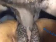 Tight dyke craving for dick 3/16