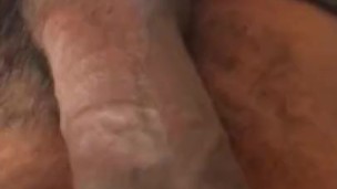 Morning wood