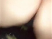 My Sweet Rose  12/16