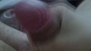 Jalandomela por la mañana