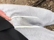 This is my cock;) 