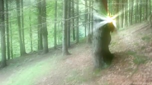 Cum Collecting Fairy (teaser, fantasy, outdoor) by Amedee Vause