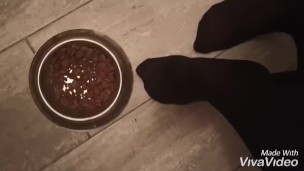 Ti obbligo a mangiare i croccantini come un lurido cagnolino!
