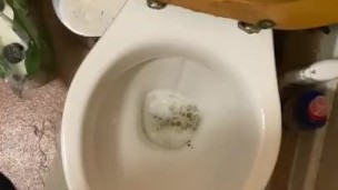 Playing around in the toilets 