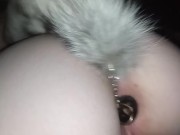 Fox Tailplug wiggles