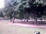in park - Screenshot 13 of 16 - Song