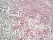 in park
