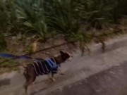 Strolling in the mall alone in the dark 5/16