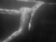 Romantic Underwater Art Video