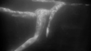 Romantic Underwater Art Video