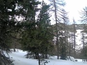 last day in the snow I catch it next to the slopes blowjobs and doggy 1/16