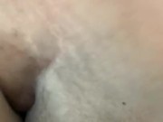 Tagged Thot (Crenshaw)  1/16