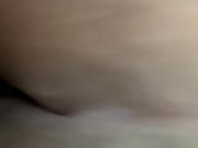 Tagged Thot (Crenshaw) 