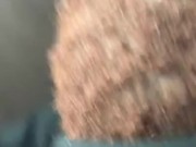 Tagged Thot (Crenshaw)  8/16