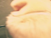 PUBLIC SEX IN THE ELEVATOR ! SUCKED COCK, AND SWALLOWED CUM! - ADELLA JAY 1/16