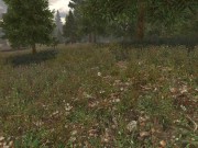 Sinfully Fun Games #29 Vikings Daughter 10/16