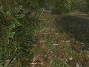 Sinfully Fun Games #29 Vikings Daughter 12/16