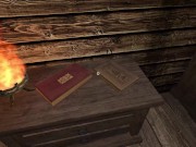 Sinfully Fun Games #29 Vikings Daughter 13/16