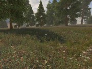 Sinfully Fun Games #29 Vikings Daughter 7/16