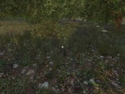 Sinfully Fun Games #29 Vikings Daughter 8/16