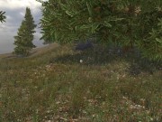 Sinfully Fun Games #29 Vikings Daughter 9/16