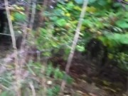 wanking in the bushes
