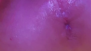 work seed into my hole