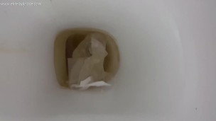 pee on the toilet