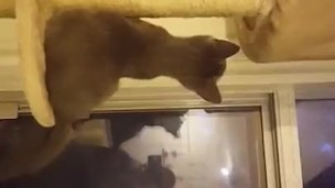 Cute young pussy first time