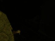 @tici_feet tici feet tici_feet getting in the car