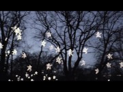 EUROPEAN TOUR, LATVIA - LUNA'S JOURNEY (EPISODE 3) 4/16